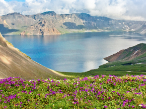 長白山の美しいカルデラ湖と高山植物