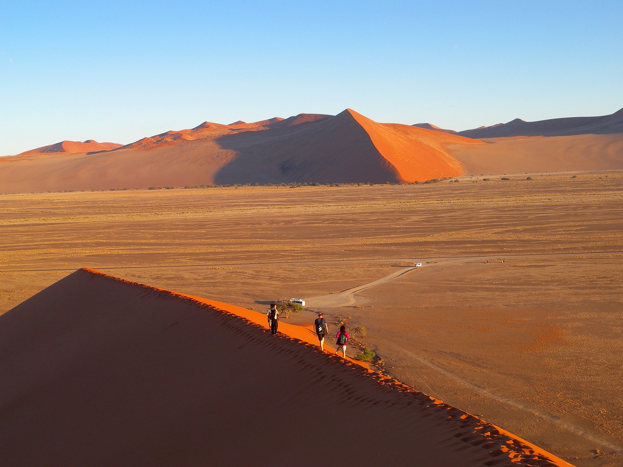 ナミブ砂漠のデューン（砂丘）に登ってきました