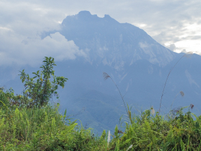 登山口への移動中に眺めたキナバル山