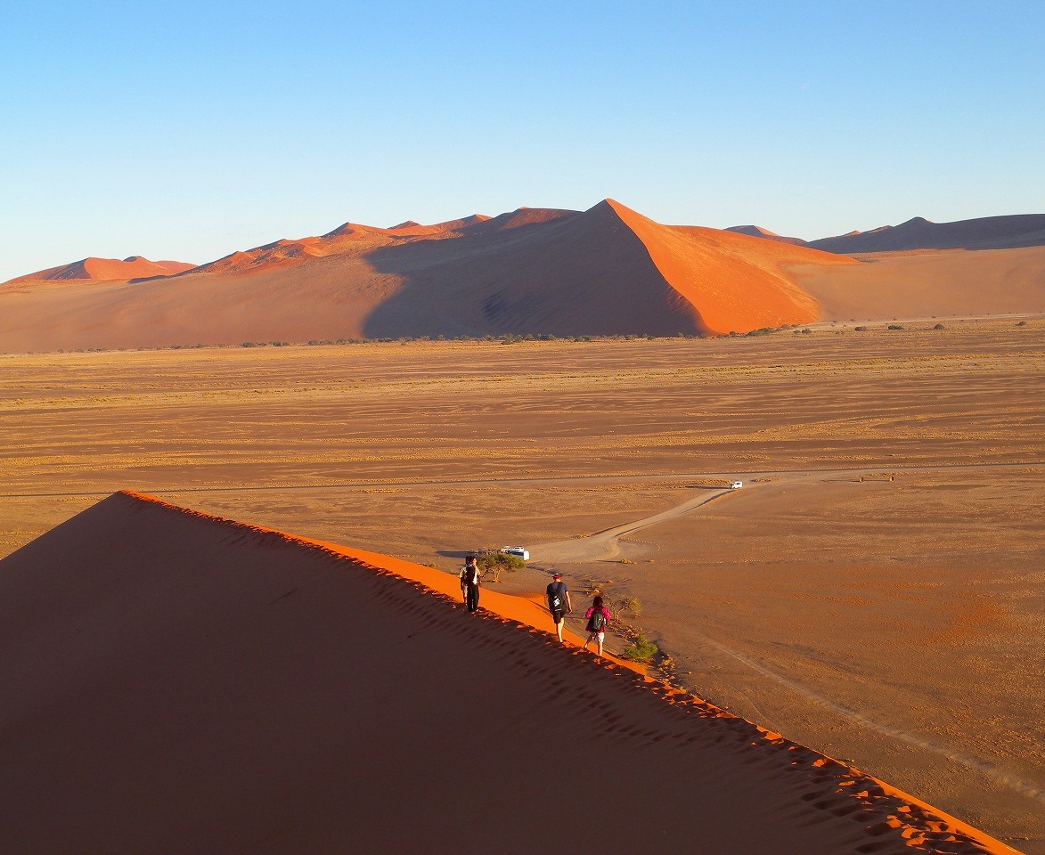 ナミブ砂漠のデューン（砂丘）に登ってきました