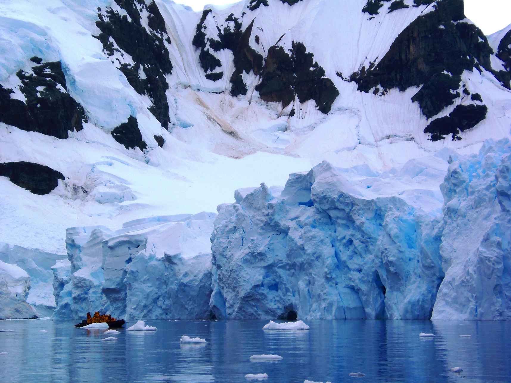 2月9日出発「南極半島探検クルーズ 16日間」