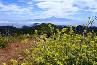 ゴメラ島から眺めるテイデ山