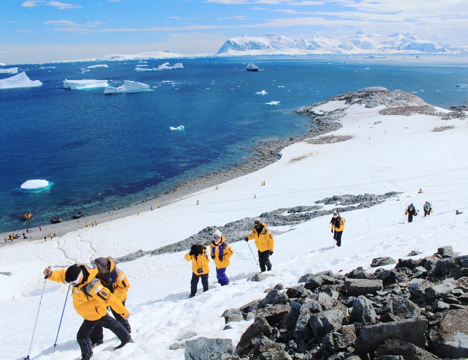 1月5日出発「南極半島探検クルーズ 16日間」