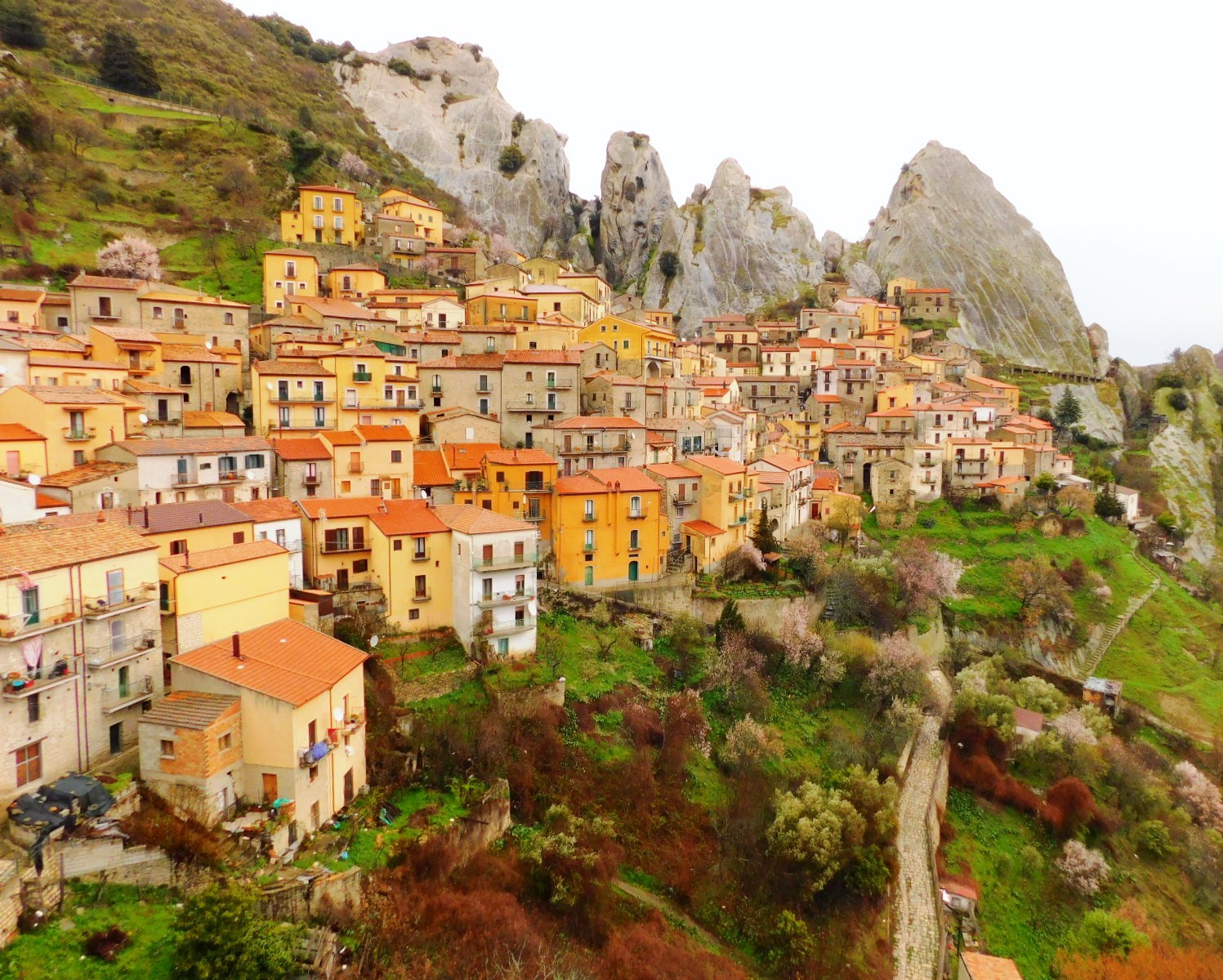 3月7日出発「至福の南イタリア・ハイキング 紺碧の海と断崖、小さな街を巡る旅 9日間」