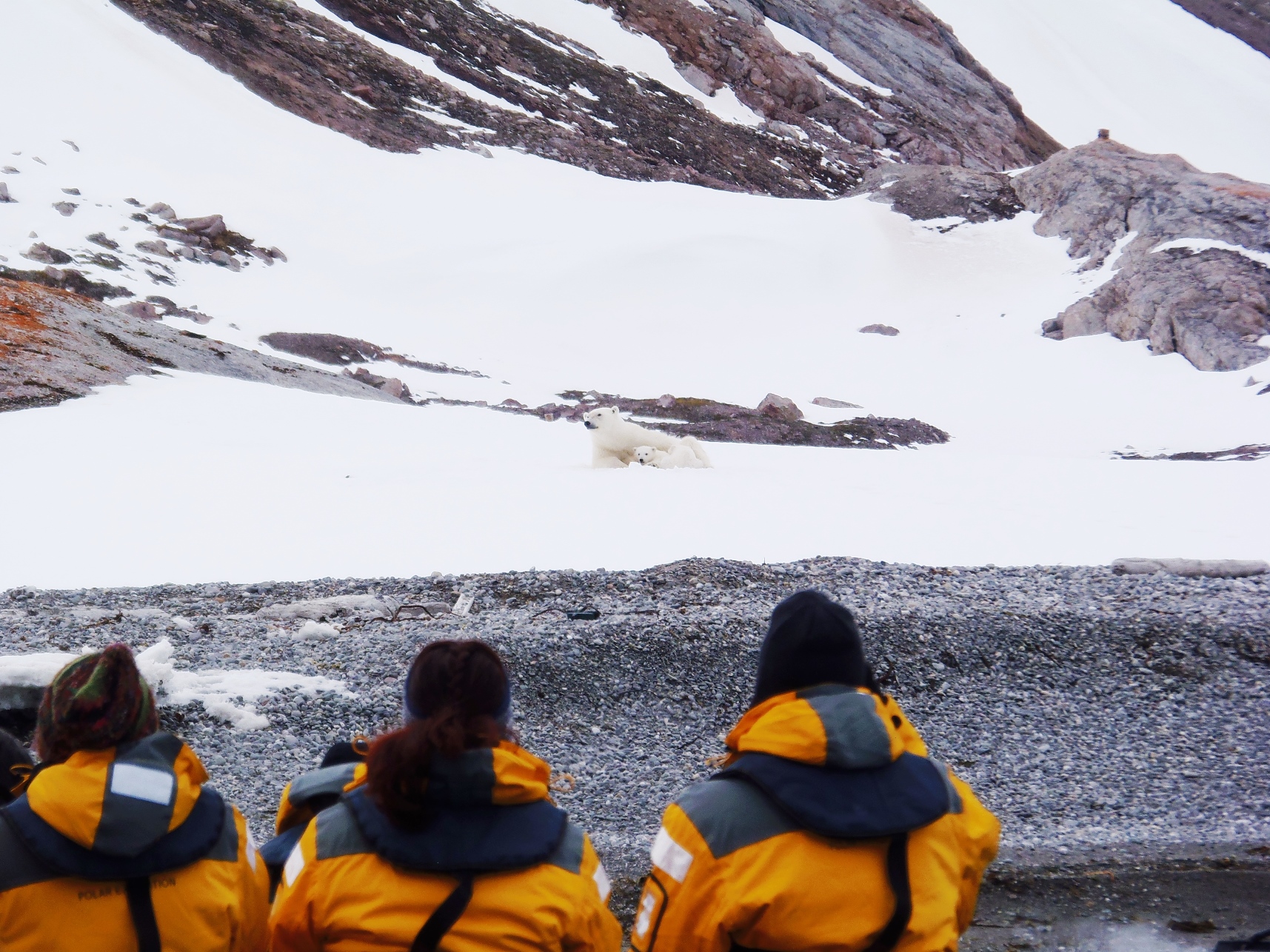 6月2日出発「北極圏・スピッツベルゲン島探検クルーズ 13日間」