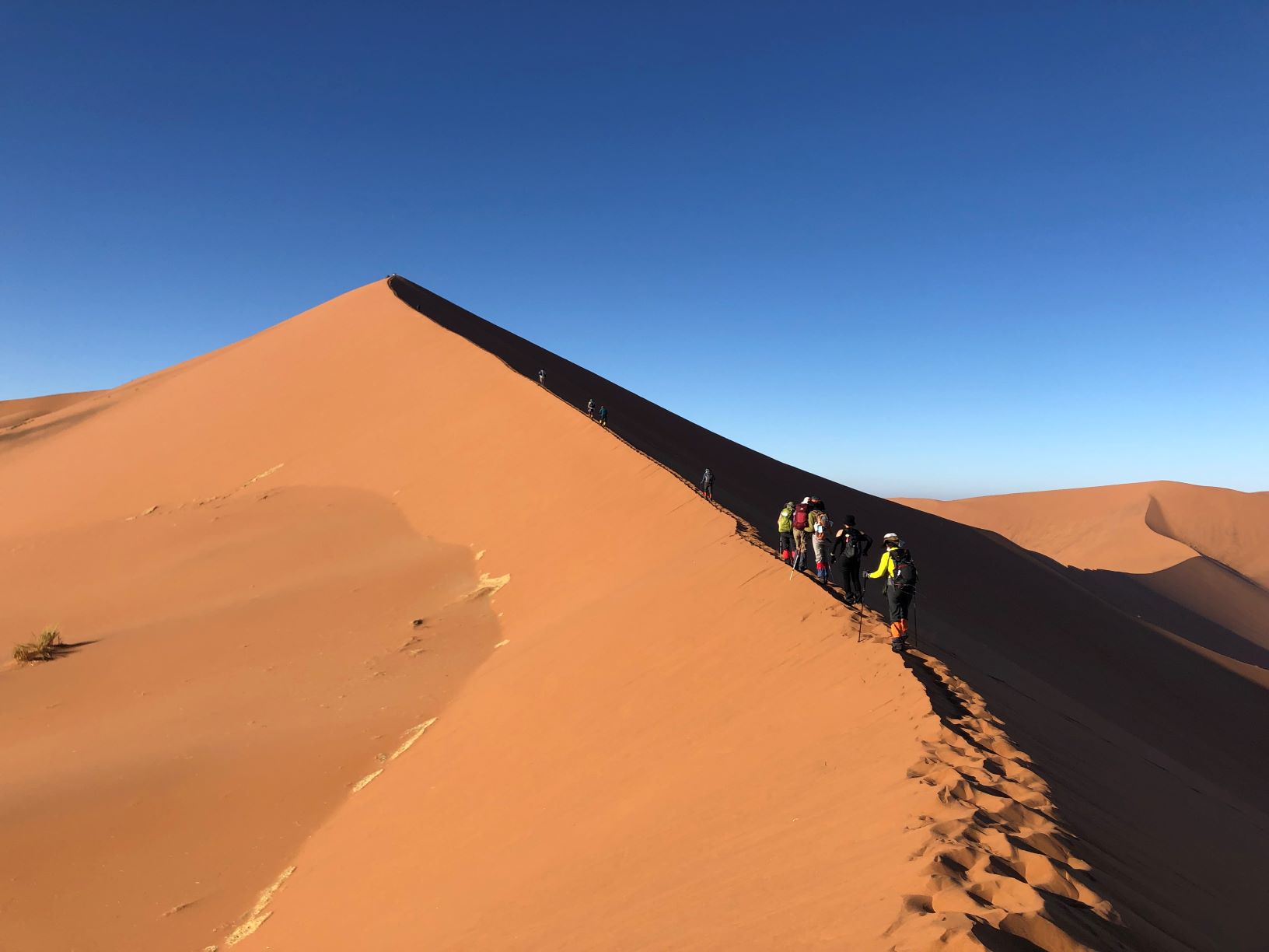 3月7日出発「南部アフリカ2つの世界自然遺産 ナミブ砂漠とケープ半島ハイキング 10日間」