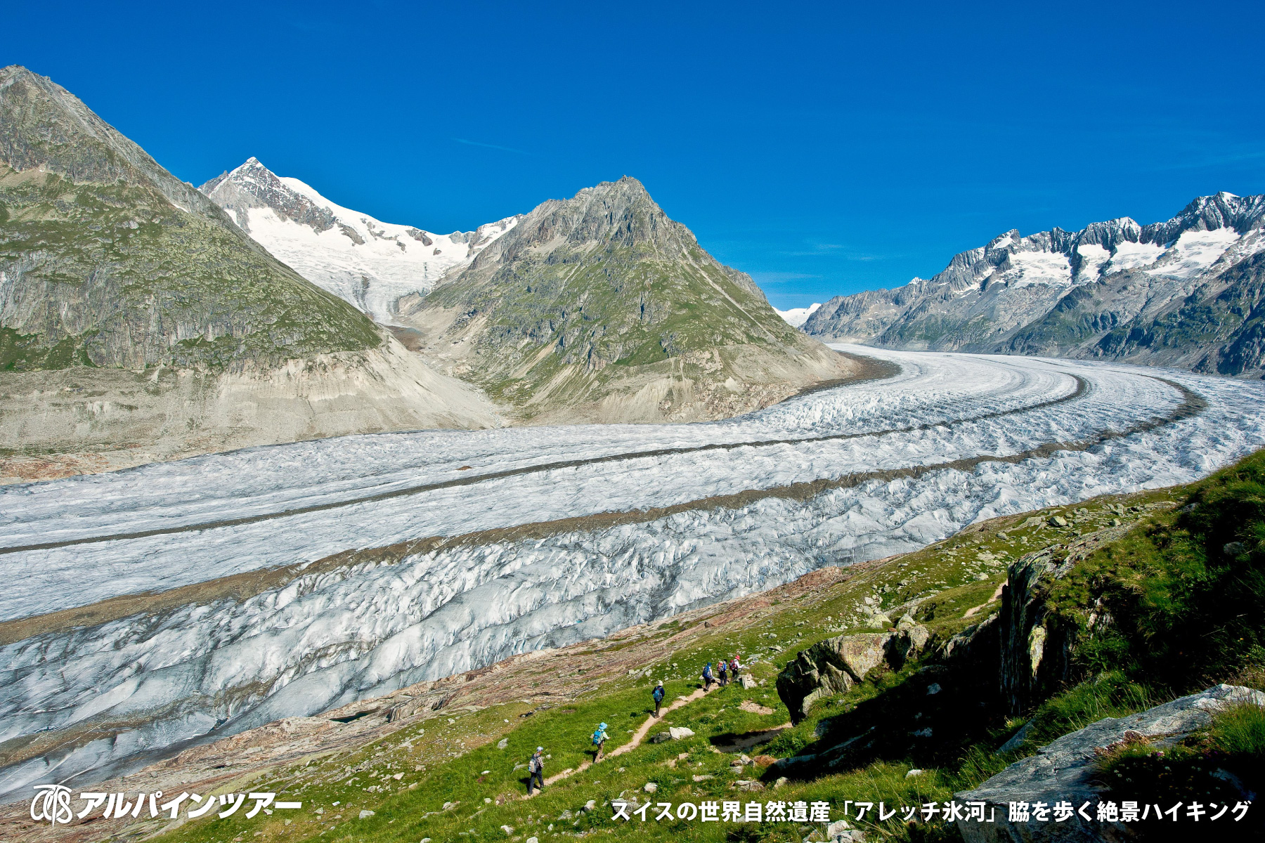 【今日の絶景】 アレッチ氷河