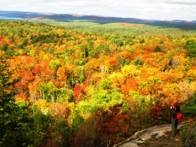 紅葉彩るアルゴンキンの秋満喫ハイキング  8日間