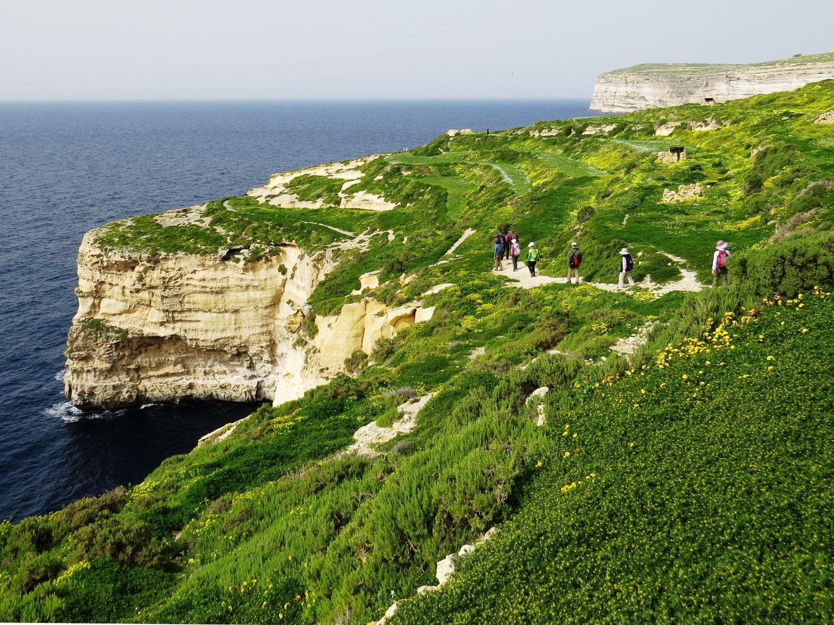 3月19日出発 春の花咲くマルタ諸島ハイキングと世界遺産ヴァレッタ 8日間