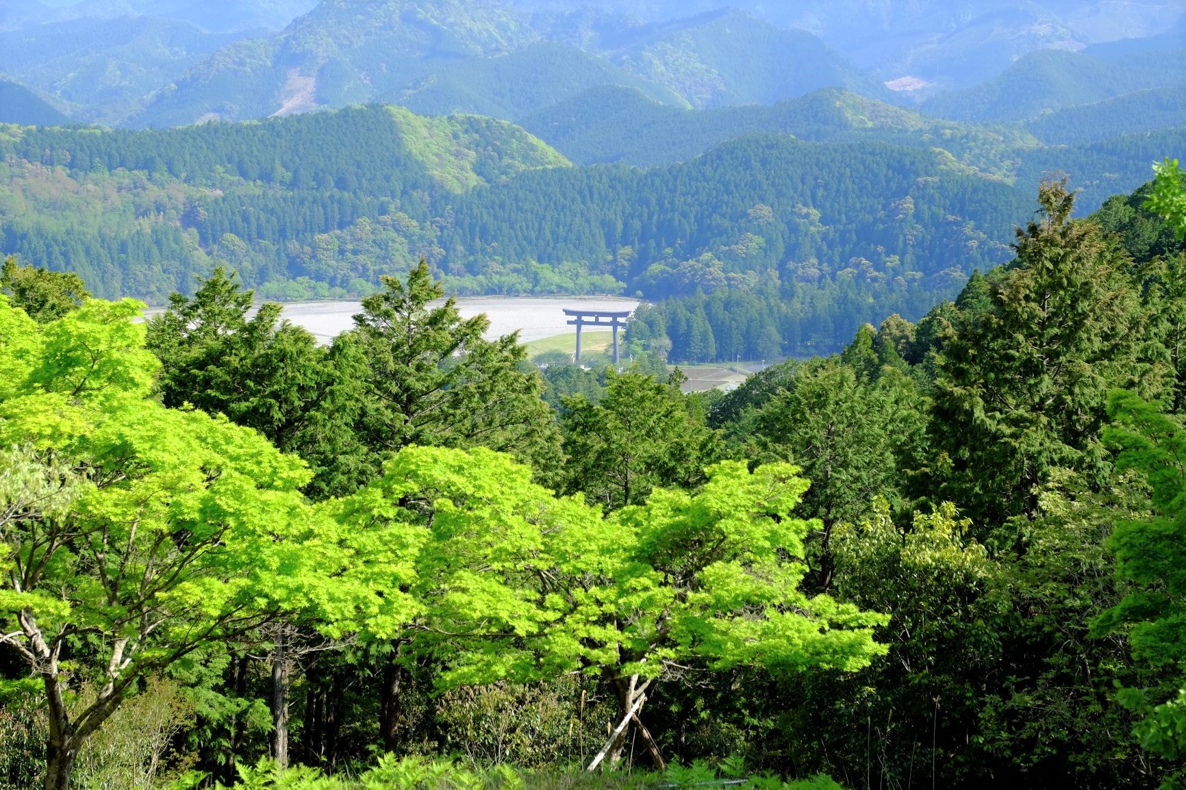 熊野古道・小辺路７０ｋｍ　5日間<br>～高野山から熊野本宮大社へ4泊5日で完全踏破～