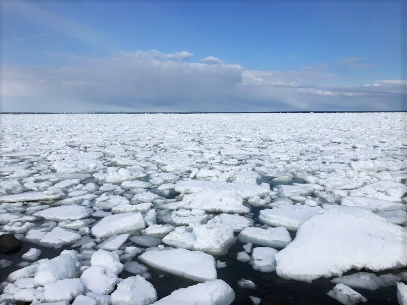 冬の北海道スノーシュー、SL列車乗車<br>氷平線ウォークと知床“流氷体験”　7日間