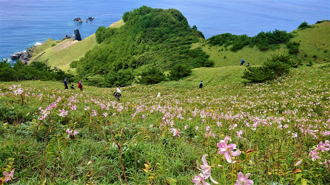 伝説の花カノコユリの群生地 甑島（こしきじま）<br>列島縦断フラワーハイキングと山登り３日間