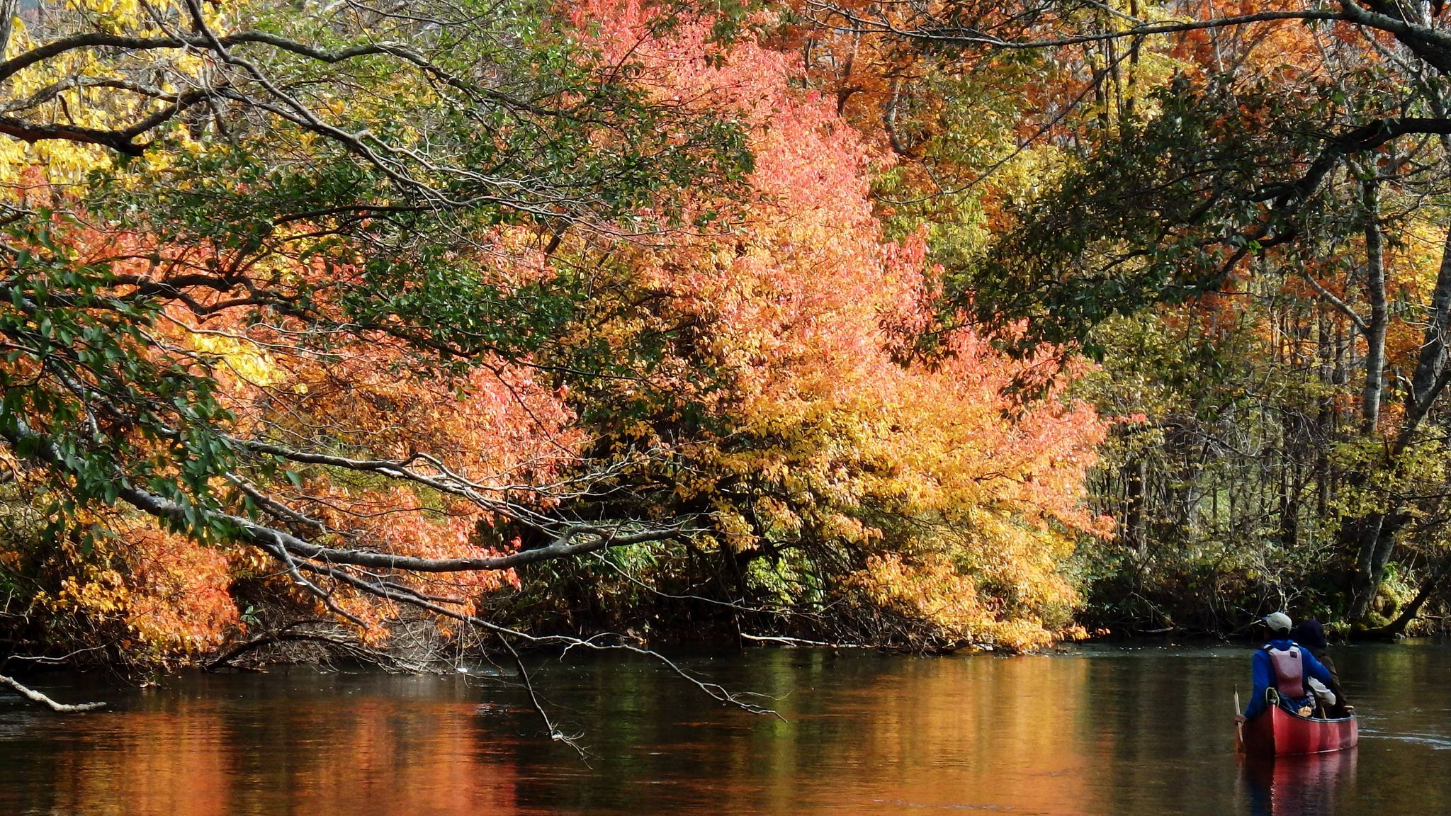 秋色に染まる阿寒、チミケップ、屈斜路湖<br>道東の湖めぐりハイキング　4日間