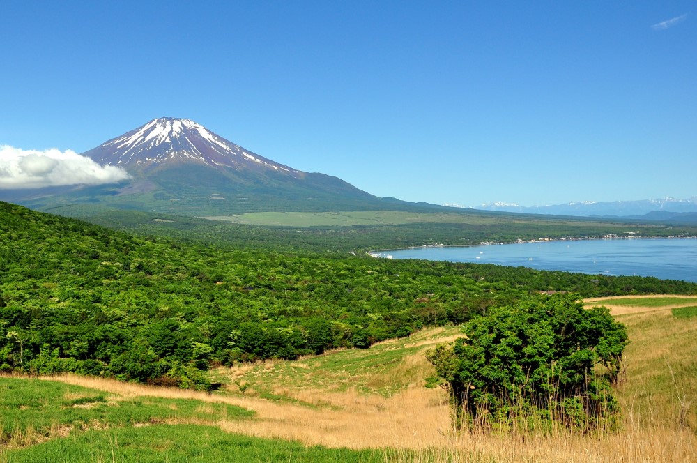 【2021年新規開通】富士山ロングトレイル<br>EAST～忍野・山中湖エリア～　4日間