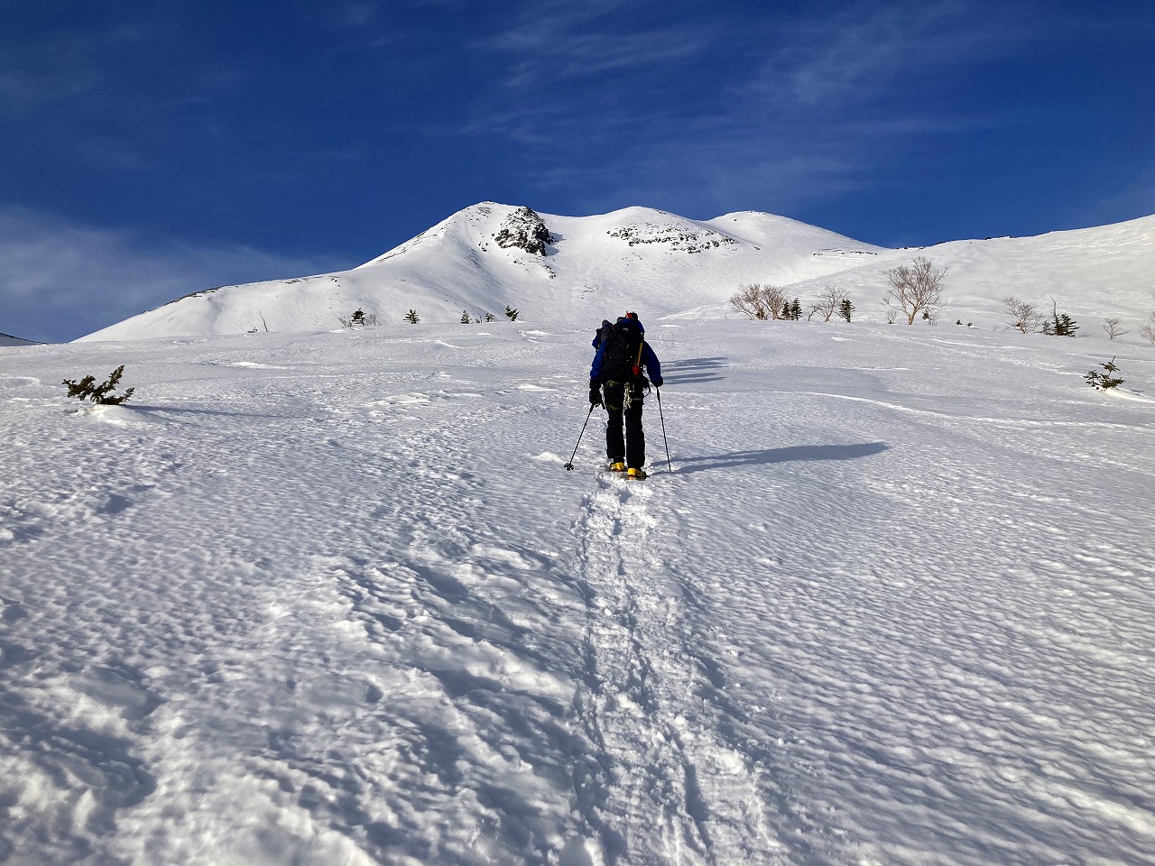 雪山講習会（ＳＴＥＰ２）　乗鞍岳　2日間<br>～雪の３０００メートル峰　樹林限界を超えた長時間行動～