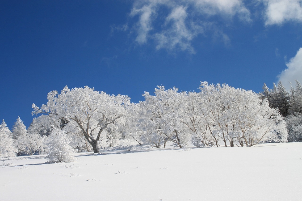 山の天気と写真を学ぶスペシャルツアー<br>王ヶ頭ホテル泊・雪の美ヶ原で空見＆フォトハイク　2日間