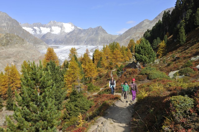 秋のスイス・アルプス2つの隠れ里と<br>黄金に染まるラヴォー地区ハイキング　11日間
