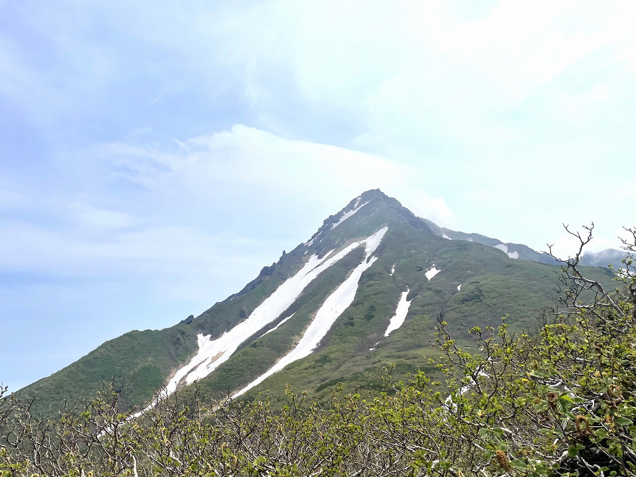 ヤマテン×アルパインツアーコラボ企画<br>日本最北の山で天気を学ぶ<br>ゆっくり利尻山と礼文島ハイキング　4日間