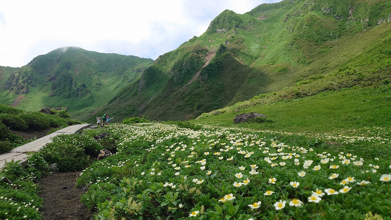 みちのく花の名峰２座　静かな花の縦走路を歩く<br>花の秋田駒ヶ岳から乳頭山縦走　3日間