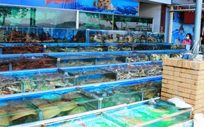 珍しい海産物が巨大な生簀に並ぶ西貢