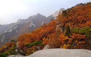 紅葉色に染まる北漢山の稜線