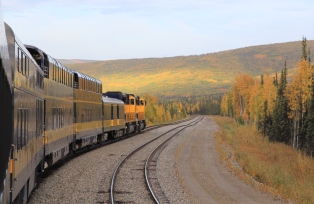 黄葉の中を走りぬけるアラスカ鉄道
