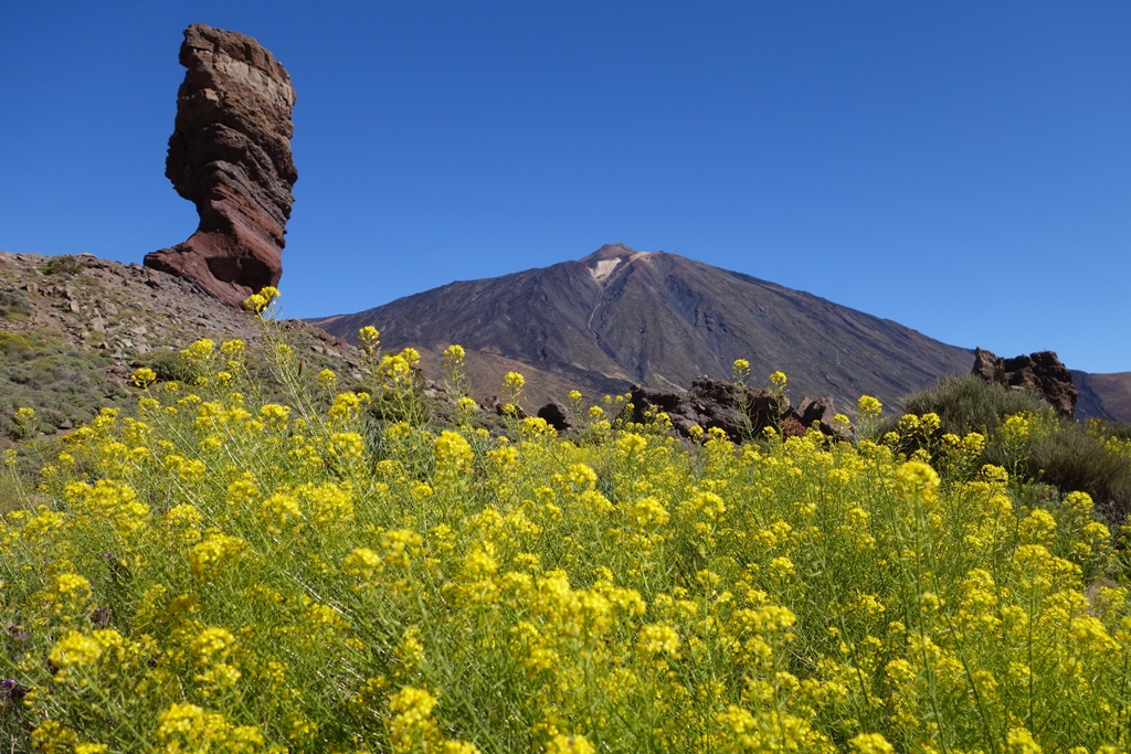 春色に染まるスペイン最高峰テイデ山の雄姿