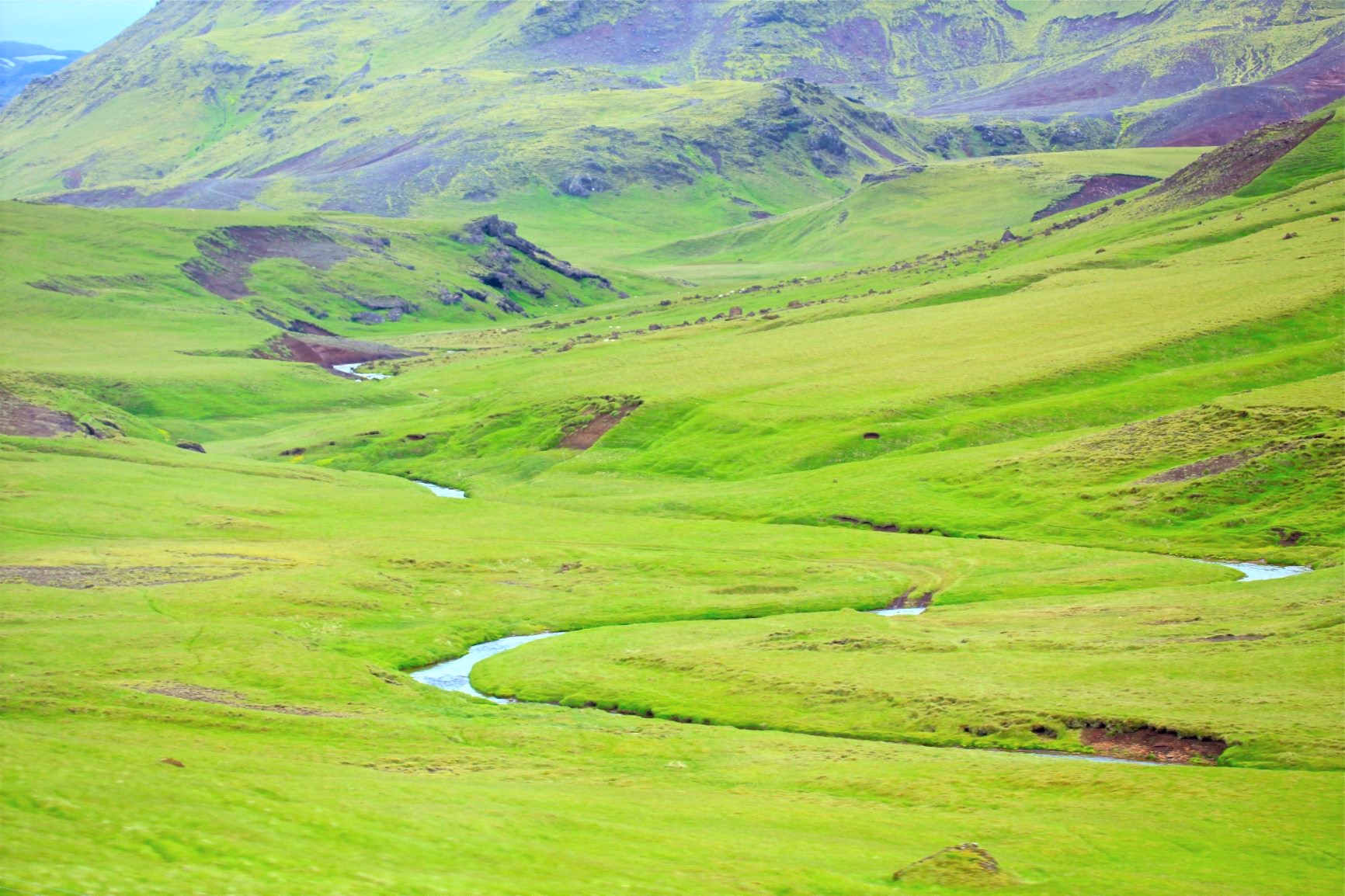 緑美しい6月のアイスランドの大地