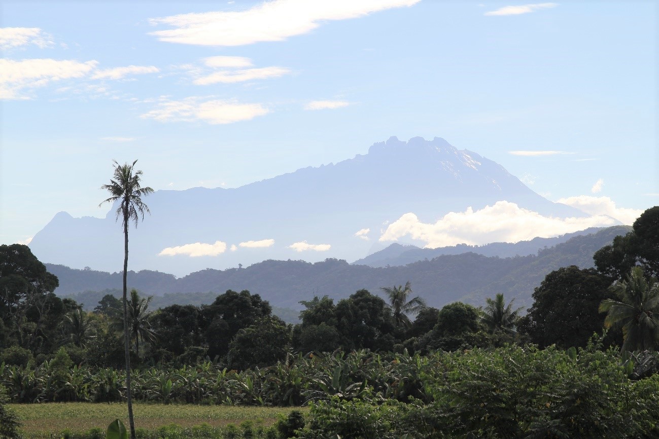 移動の途中に見えるキナバル山
