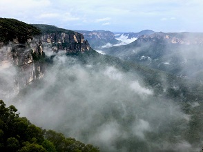 霧が立ち込める幻想的なブルーマウンテンズの峡谷