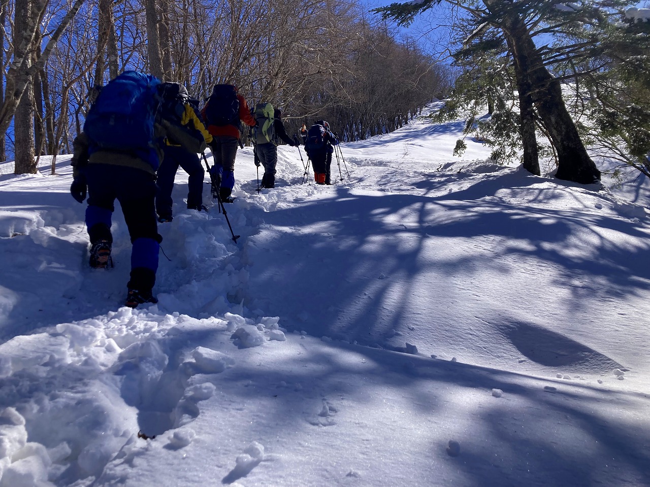 雪の斜面はフラットフッティングが基本（七ツ石山）