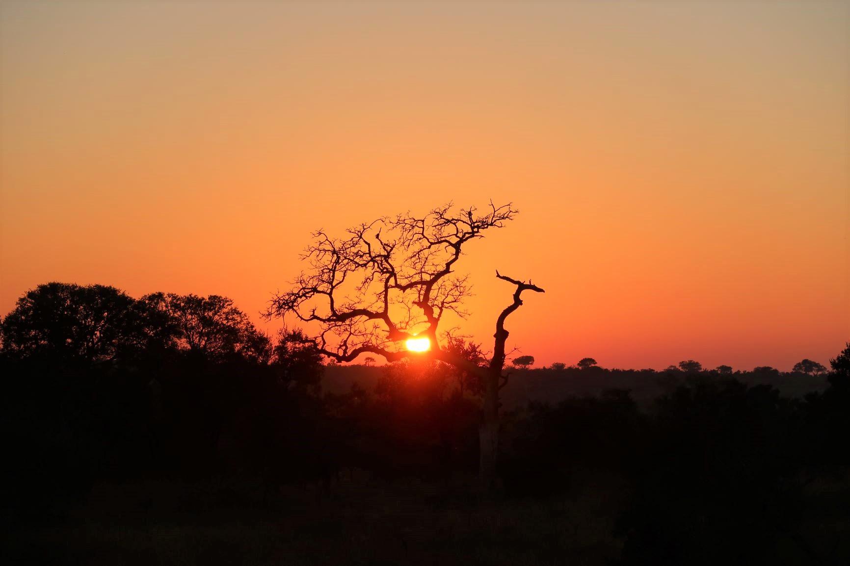 アフリカの大地で迎える日の出