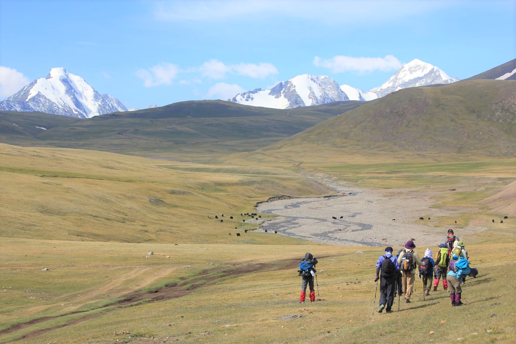 モンゴルの西端の草原地帯を歩く