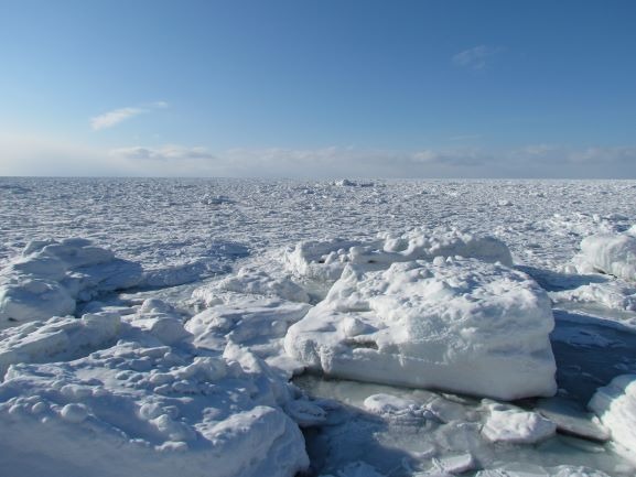 オホーツク海を覆いつくす流氷群