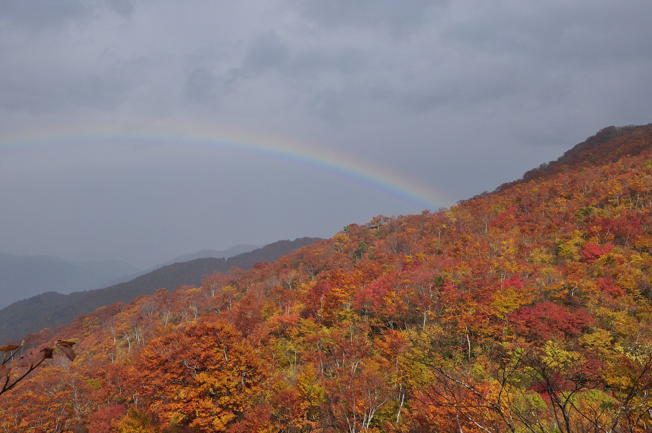 鳥原山の紅葉の山肌にかかる虹