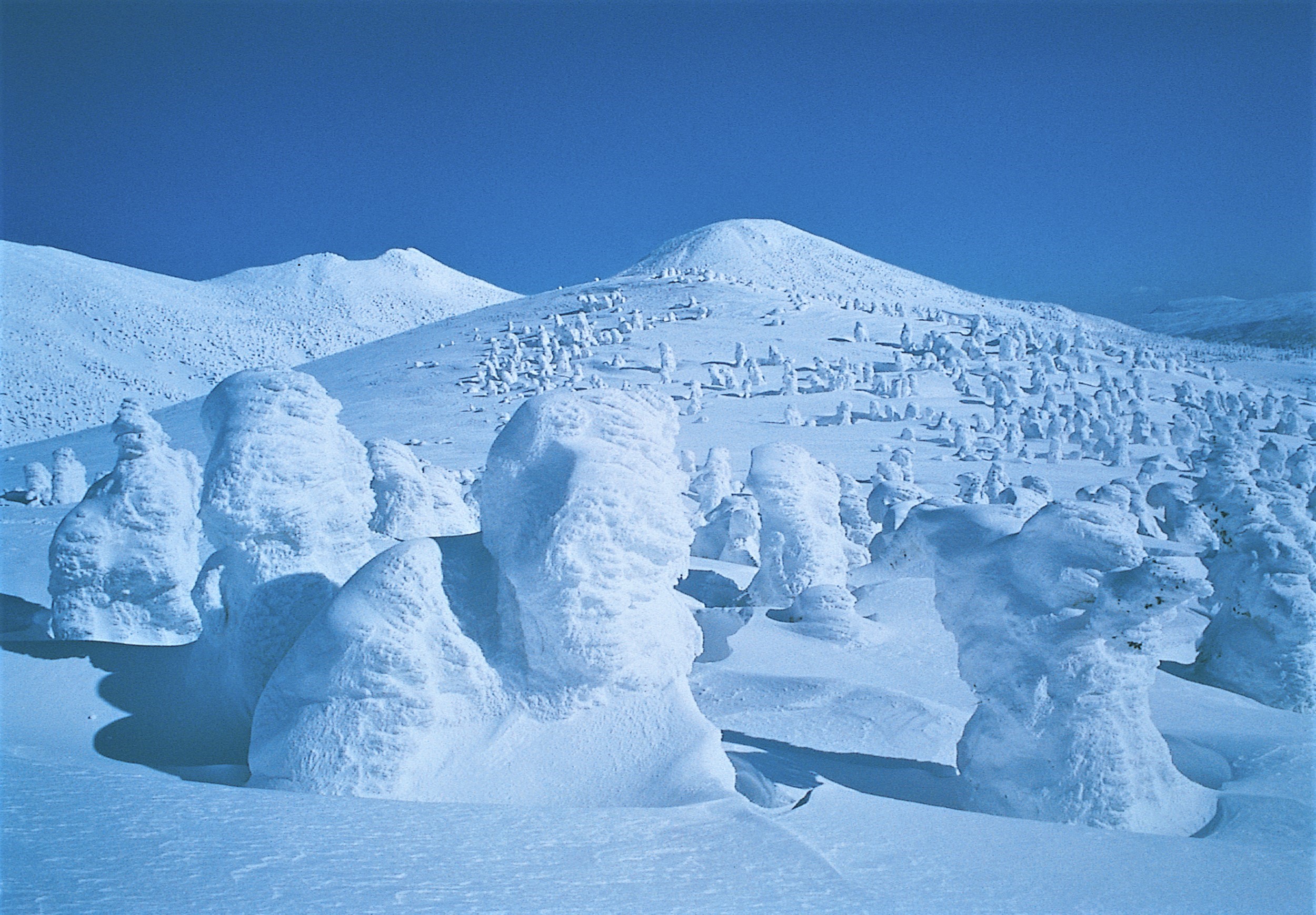 冬の八甲田山、樹氷原から大岳を望む