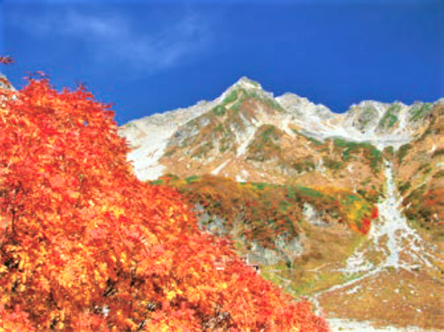 ナナカマドの紅葉と北穂高岳