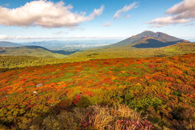 三ツ石山稜線は9月下旬に紅葉の見ごろを迎えます。