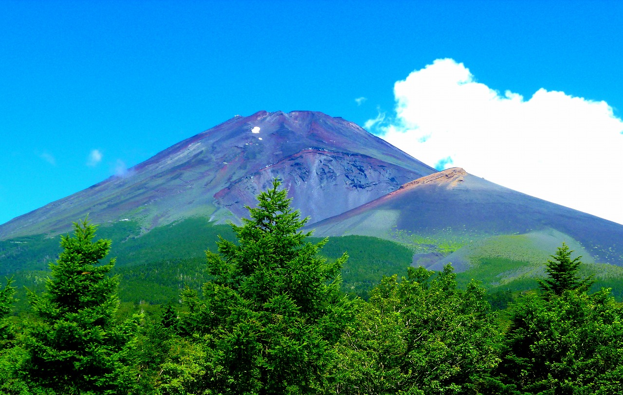 山麓から見上げる富士山