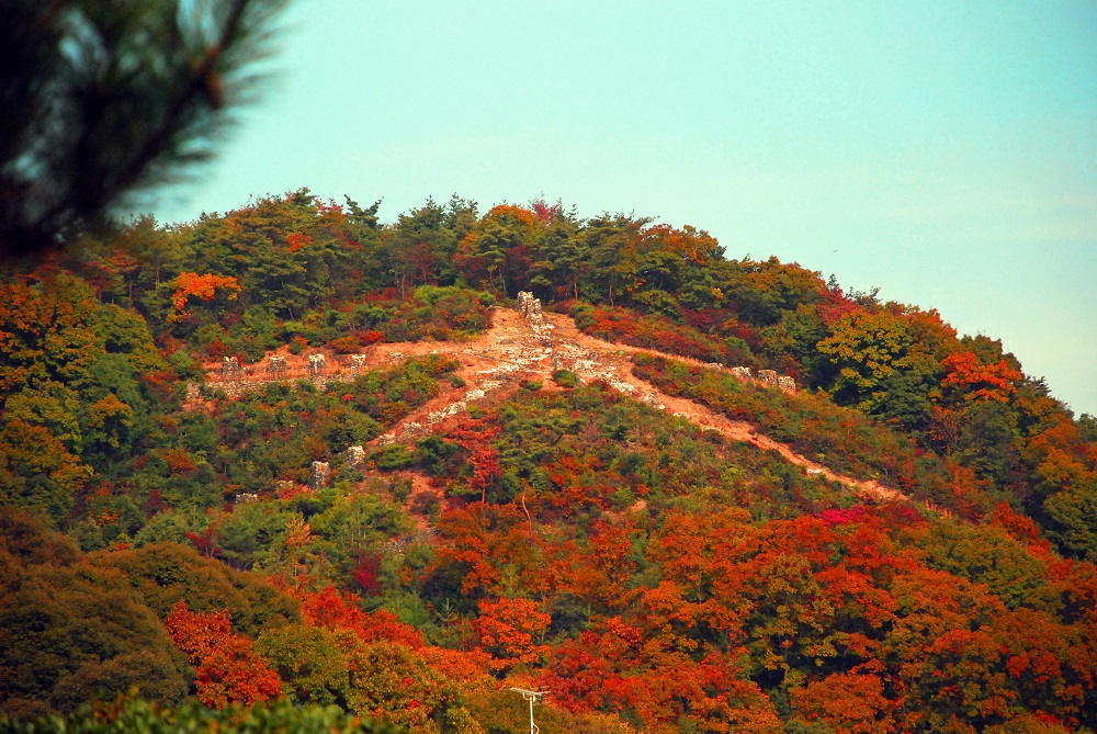 京都トレイルの紅葉の大文字山