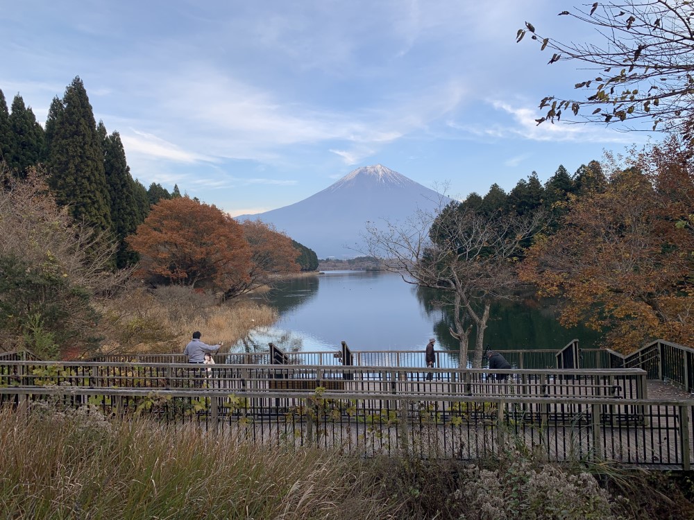 休暇村富士から富士山・田貫湖を望む