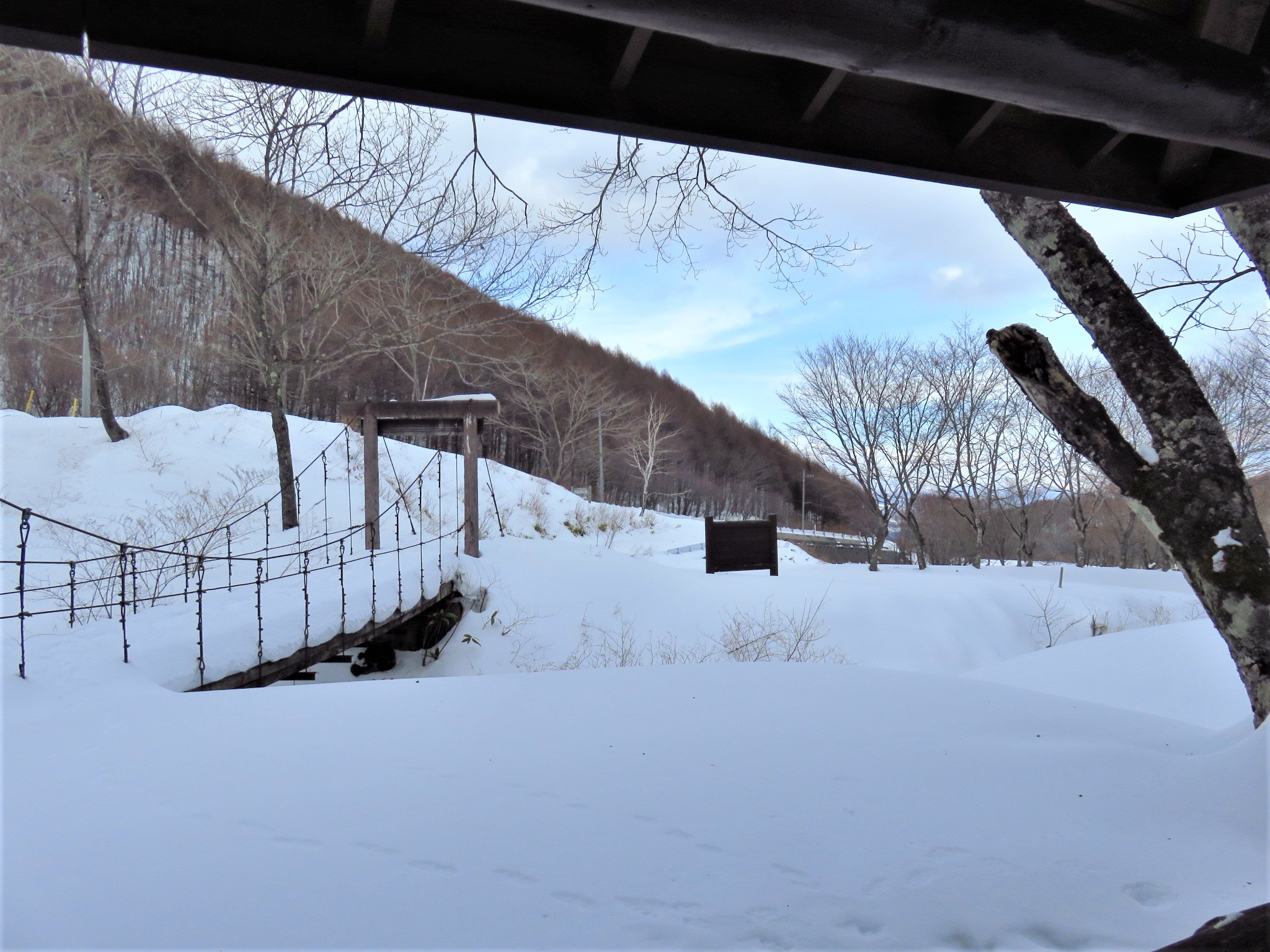 一面の雪景色のなかをスノーシューで歩きます