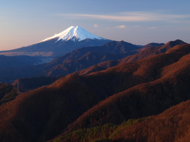 姥子山から望む朝焼けの富士山（大月市観光協会提供）