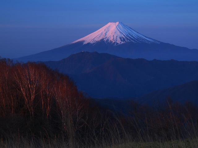 大蔵高丸からの富士山（大月市観光協会提供）