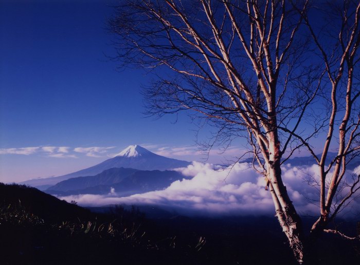 ハマイバ丸からの富士山