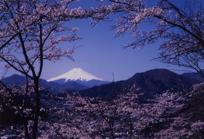 岩殿山からの富士山（大月市観光協会提供）