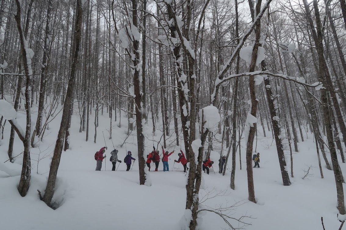 初日はブルーフォールへ。森の中で雪道歩きの練習です。