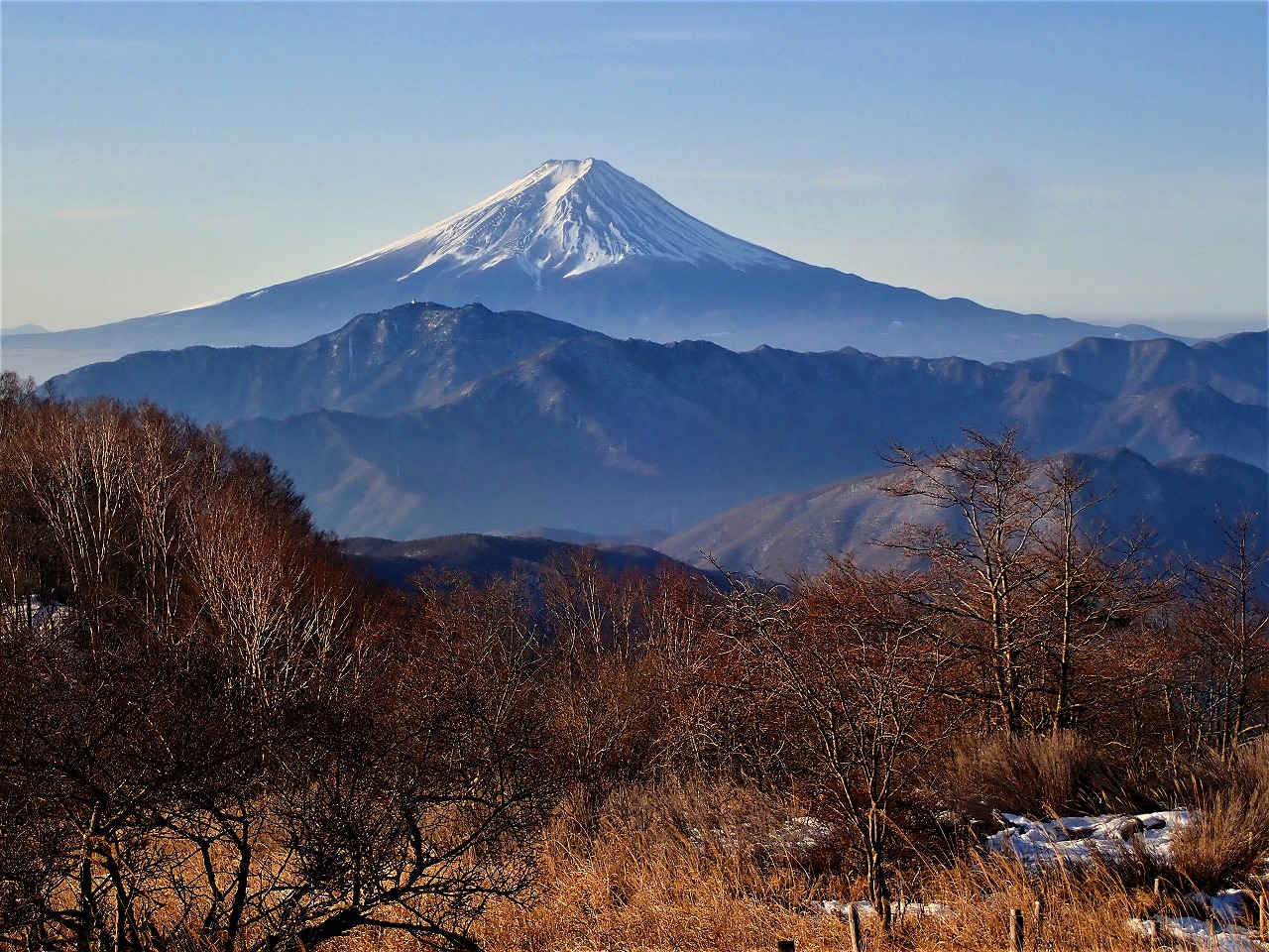 大蔵高丸からの富士山
