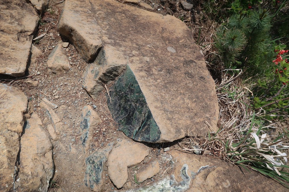 アポイ岳登山道の割れると緑のかんらん岩