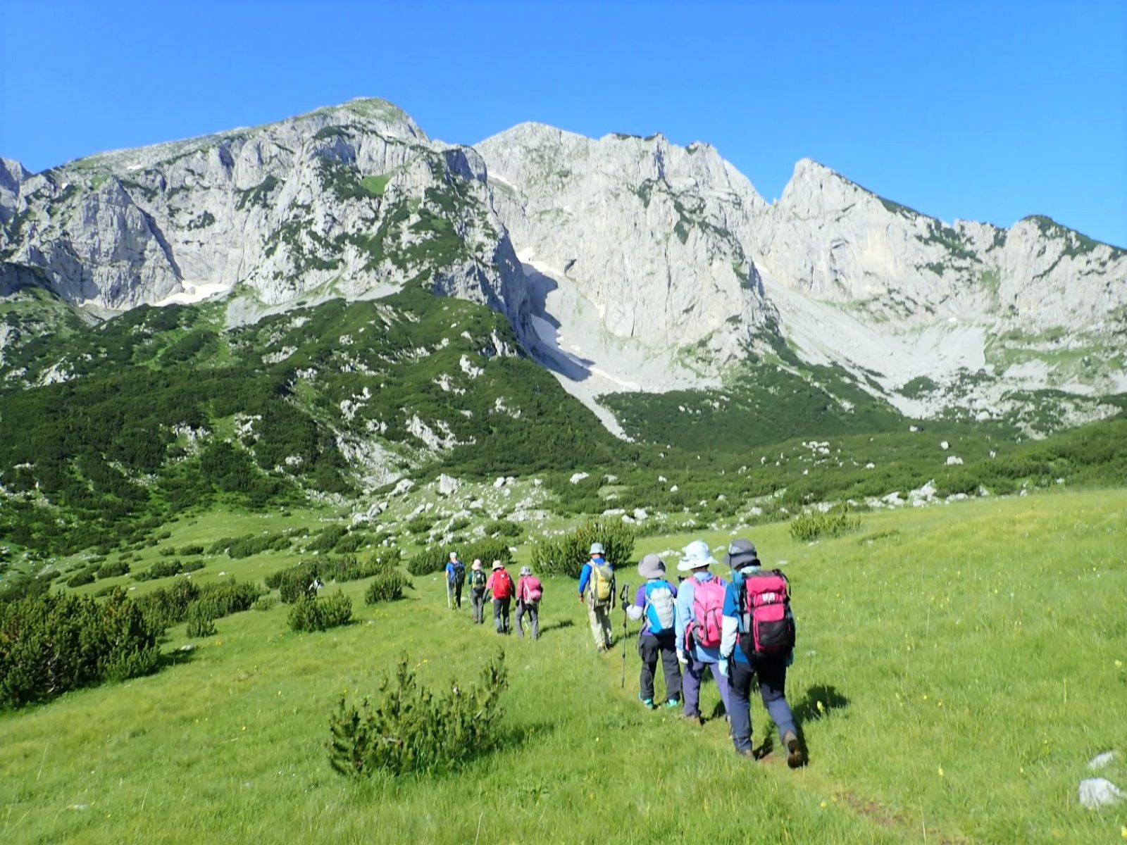 ニュース アルパインツアー 海外国内のハイキング トレッキング 登山ツアー